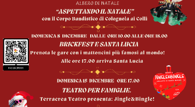 Programma Natale al Centro